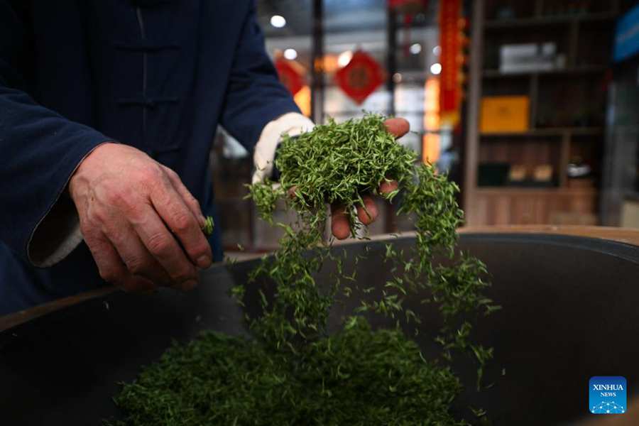 Un membro dello staff mescola e tosta le foglie di tè in una fabbrica di tè nella città di Jinting a Suzhou, nella provincia del Jiangsu. (19 marzo 2024 – Xinhua/Ji Chunpeng)