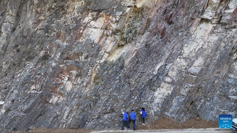 Fossili di corallo rinvenuti nella Cina centrale