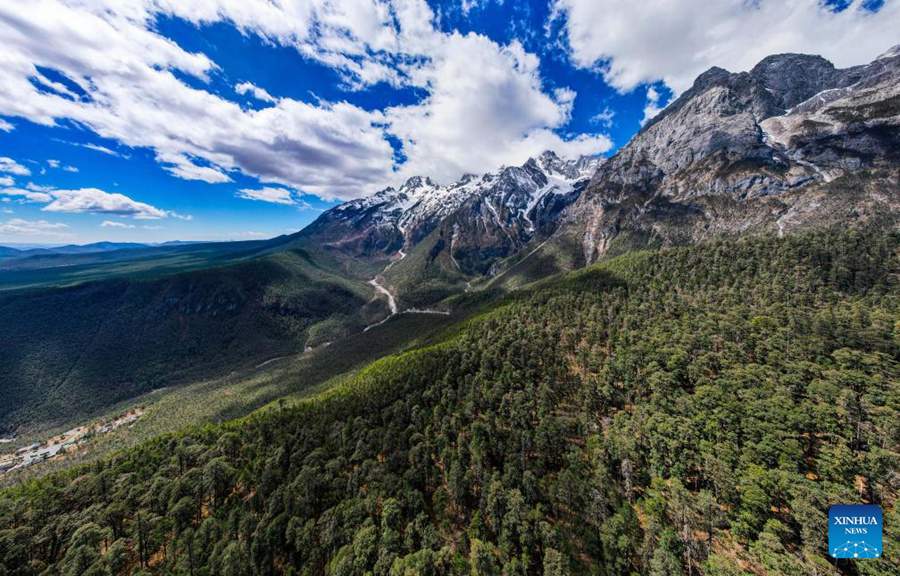 Sistema di ricerca completo multifunzione creato nel giardino botanico dello Yunnan