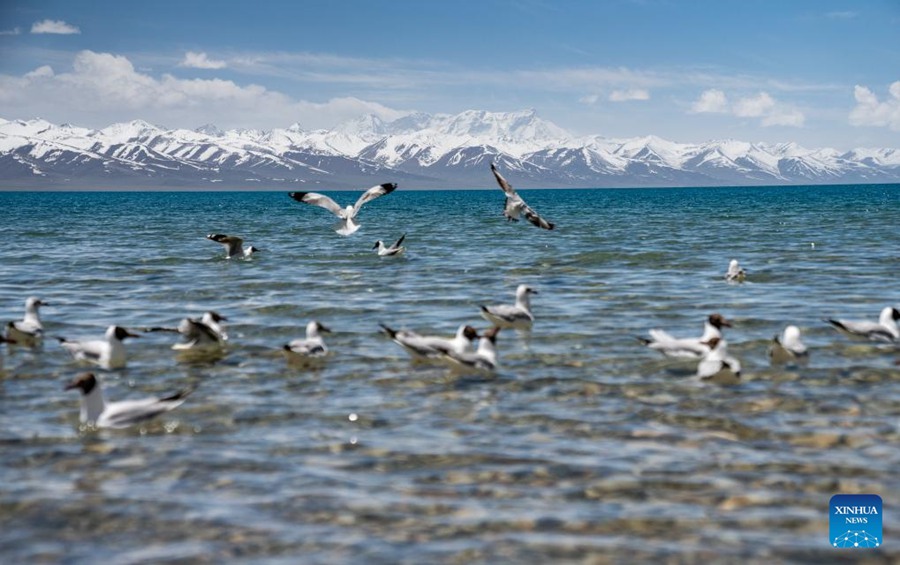 Il Lago Namtso nello Xizang entra nella stagione turistica