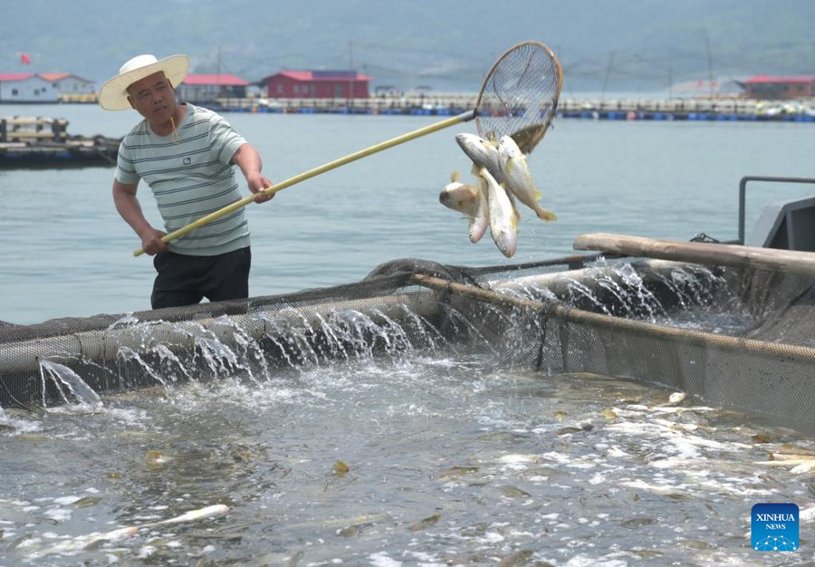 Il Fujian accelera lo sviluppo della maricoltura