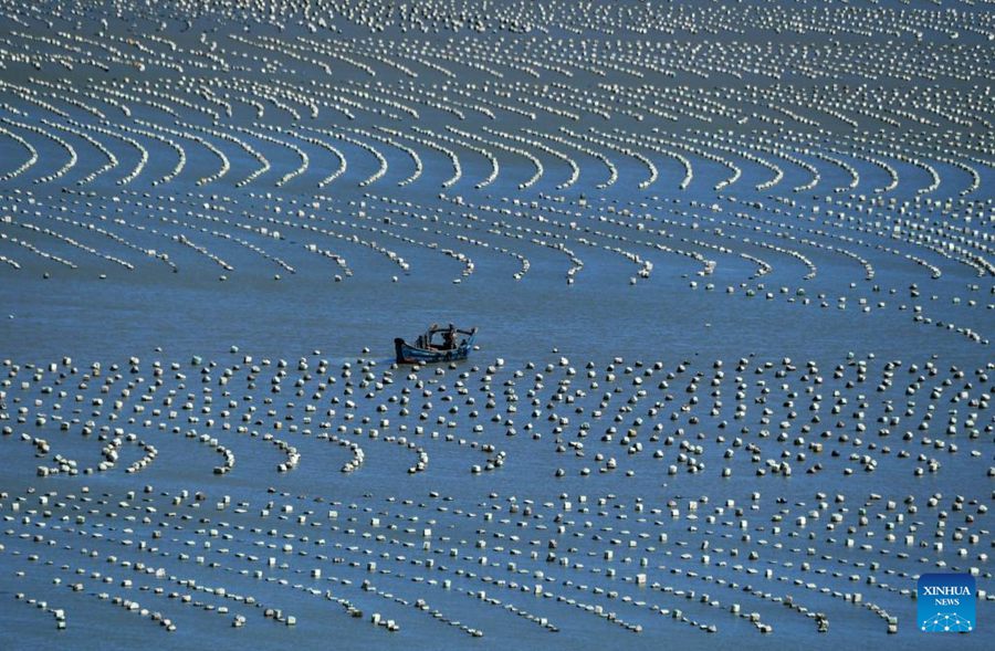 Il Fujian accelera lo sviluppo della maricoltura