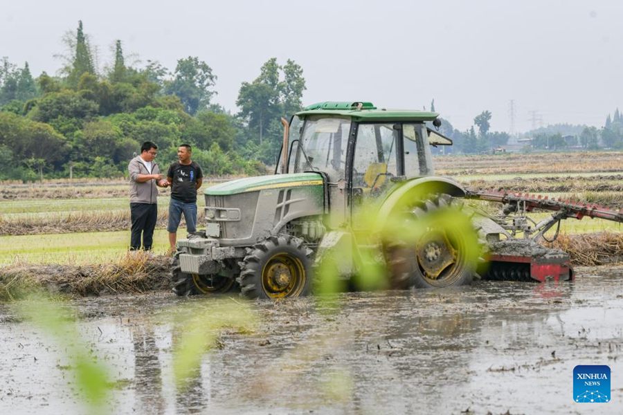 Shu Xingyu (a sinistra) parla con un trattorista nel villaggio di Shiqiao, nella città di Chongzhou, provincia del Sichuan. (15 maggio 2024 - Xinhua/Wang Xi)