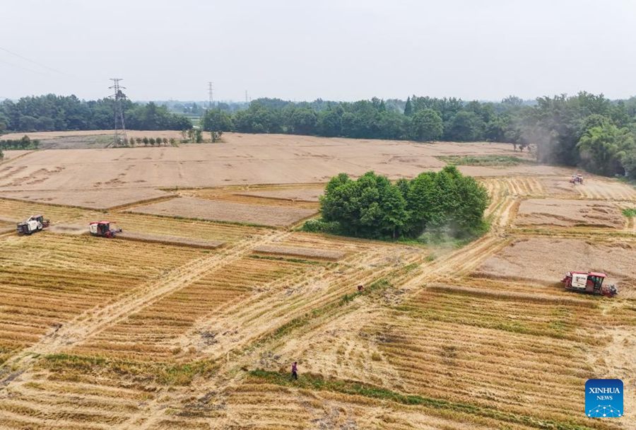 Giovane agricoltore utilizza tecnologia moderna per potenziare l'agricoltura tradizionale nel sud-ovest della Cina