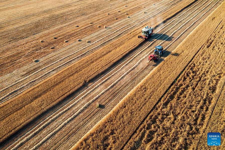 Stagione di raccolta, la Cina compie sforzi per garantire la sicurezza alimentare