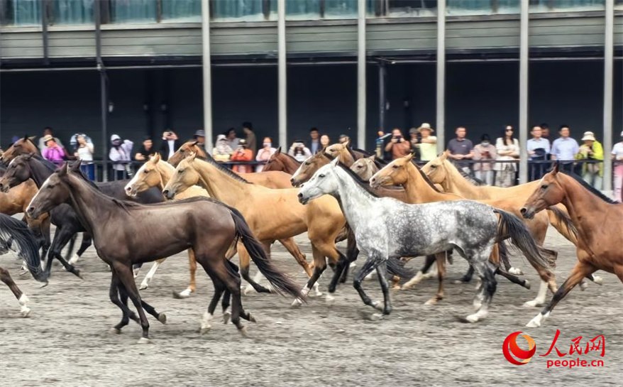 Xinjiang, da visitare 