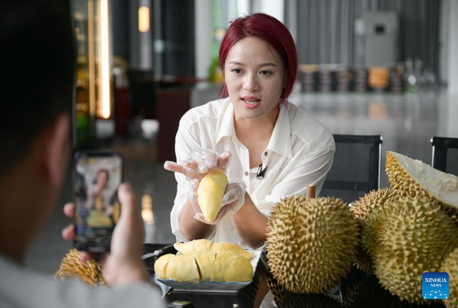 L'industria del durian promuove la rivitalizzazione rurale nel sud della Cina