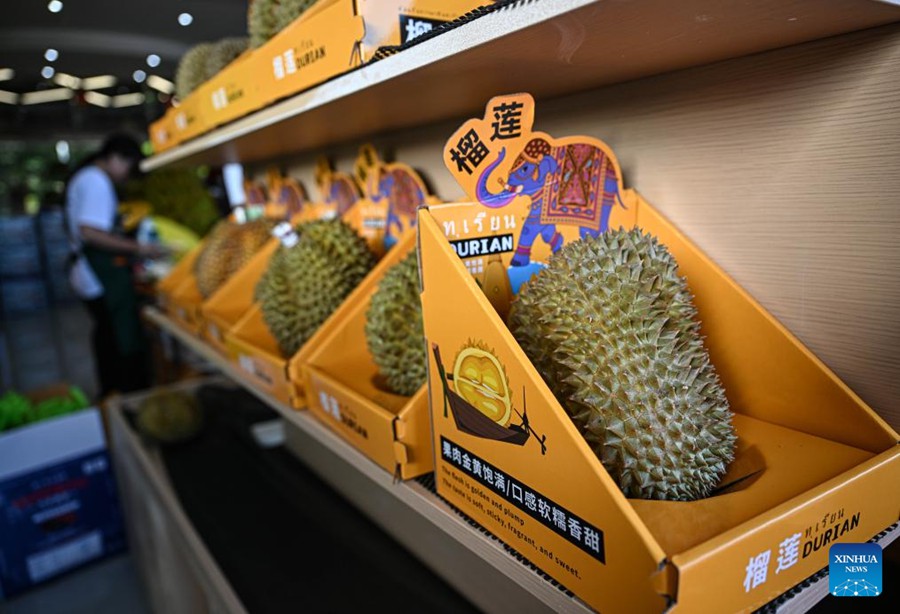 L'industria del durian promuove la rivitalizzazione rurale nel sud della Cina