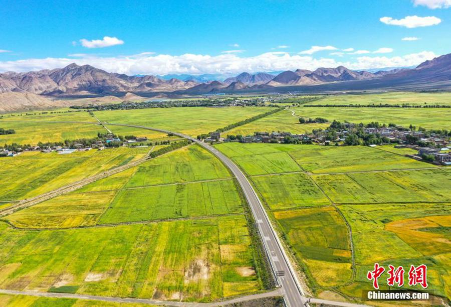 Xizang, panorama pittoresco in campagna di Bailang