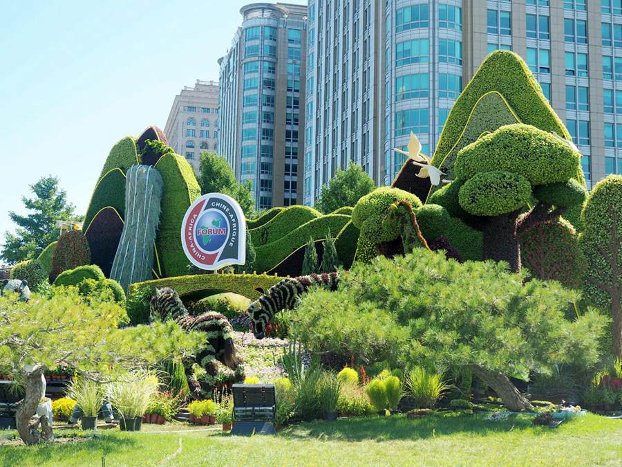 Aiuole a tema decorate sul viale Chang'an di Beijing, accogliendo il summit del Forum sulla cooperazione Cina-Africa