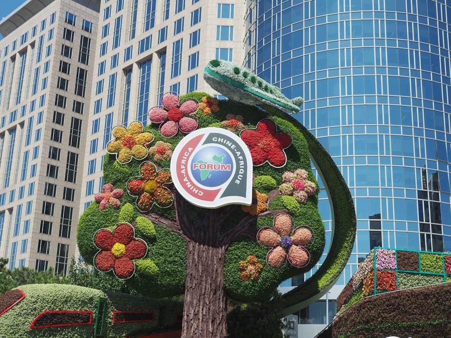 Aiuole a tema decorate sul viale Chang'an di Beijing, accogliendo il summit del Forum sulla cooperazione Cina-Africa