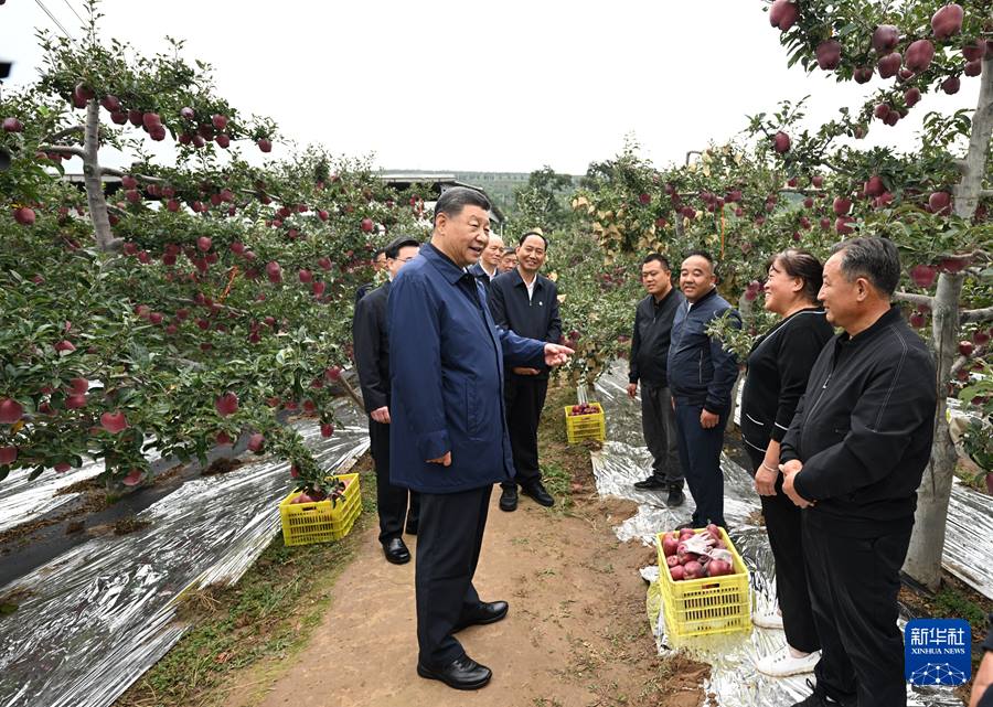 Xi Jinping: scrivere un nuovo capitolo della modernizzazione in stile cinese della provincia del Gansu