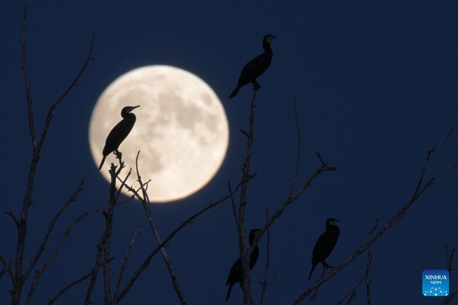 La luna piena brilla nella notte della Festa di metà autunno in Cina