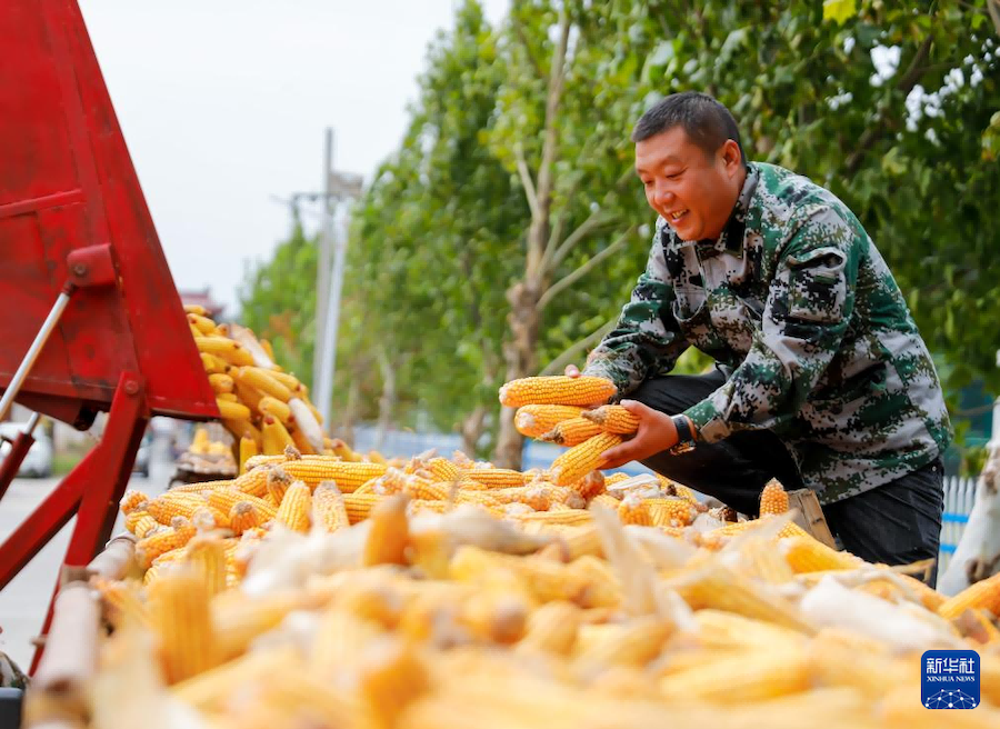 La Cina celebra la settima Festa del buon raccolto