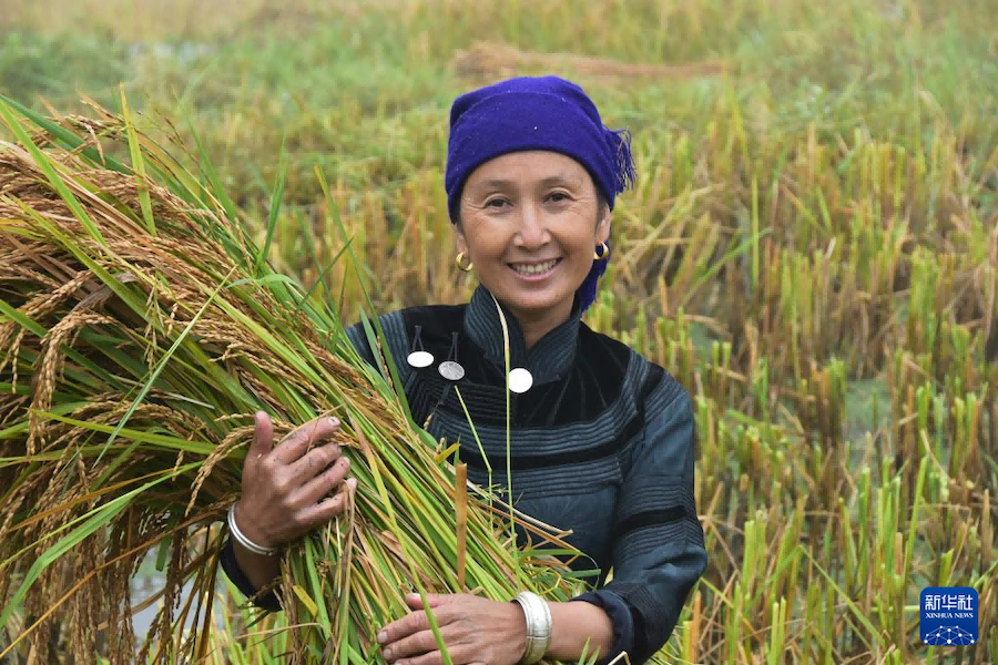 La Cina celebra la settima Festa del buon raccolto