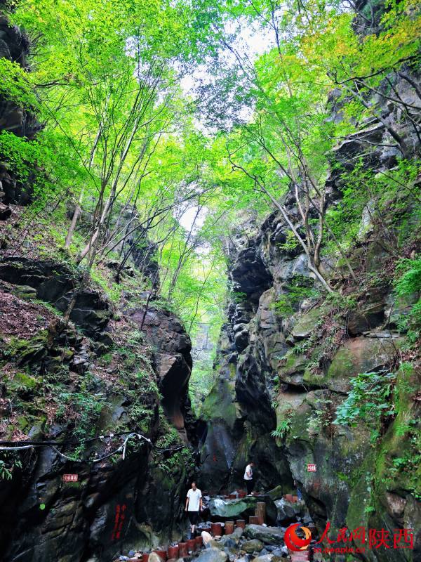 Azienda agricola forestale Houzhenzi, un corridoio ecologico da proteggere